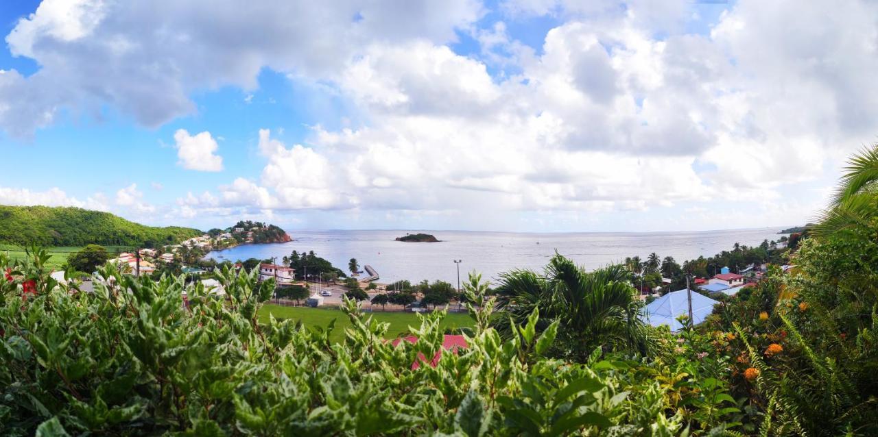 Hotel Le Manguier Morne Pavillon Esterno foto