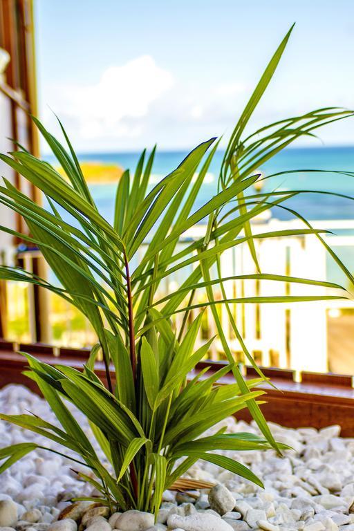 Hotel Le Manguier Morne Pavillon Esterno foto